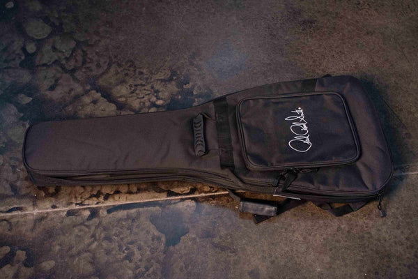 PRS SE NF 53 - BLACK DOGHAIR