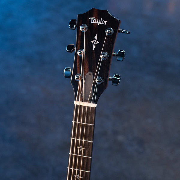 TAYLOR CUSTOM SELECT 417E - ROSEWOOD/ADIRONDACK LR BAGGS ELECTRONICS