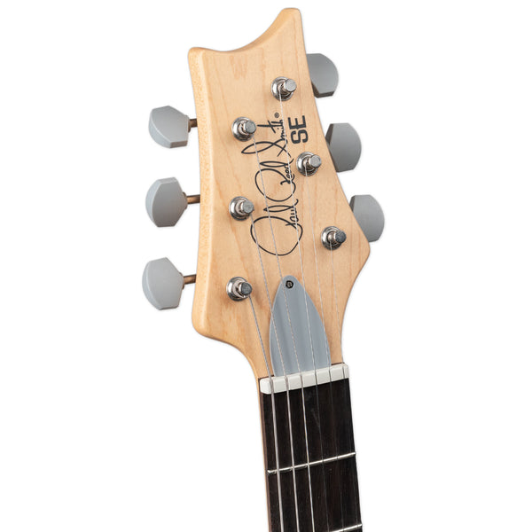 PRS JOHN MAYER SILVER SKY SE - DRAGON FRUIT