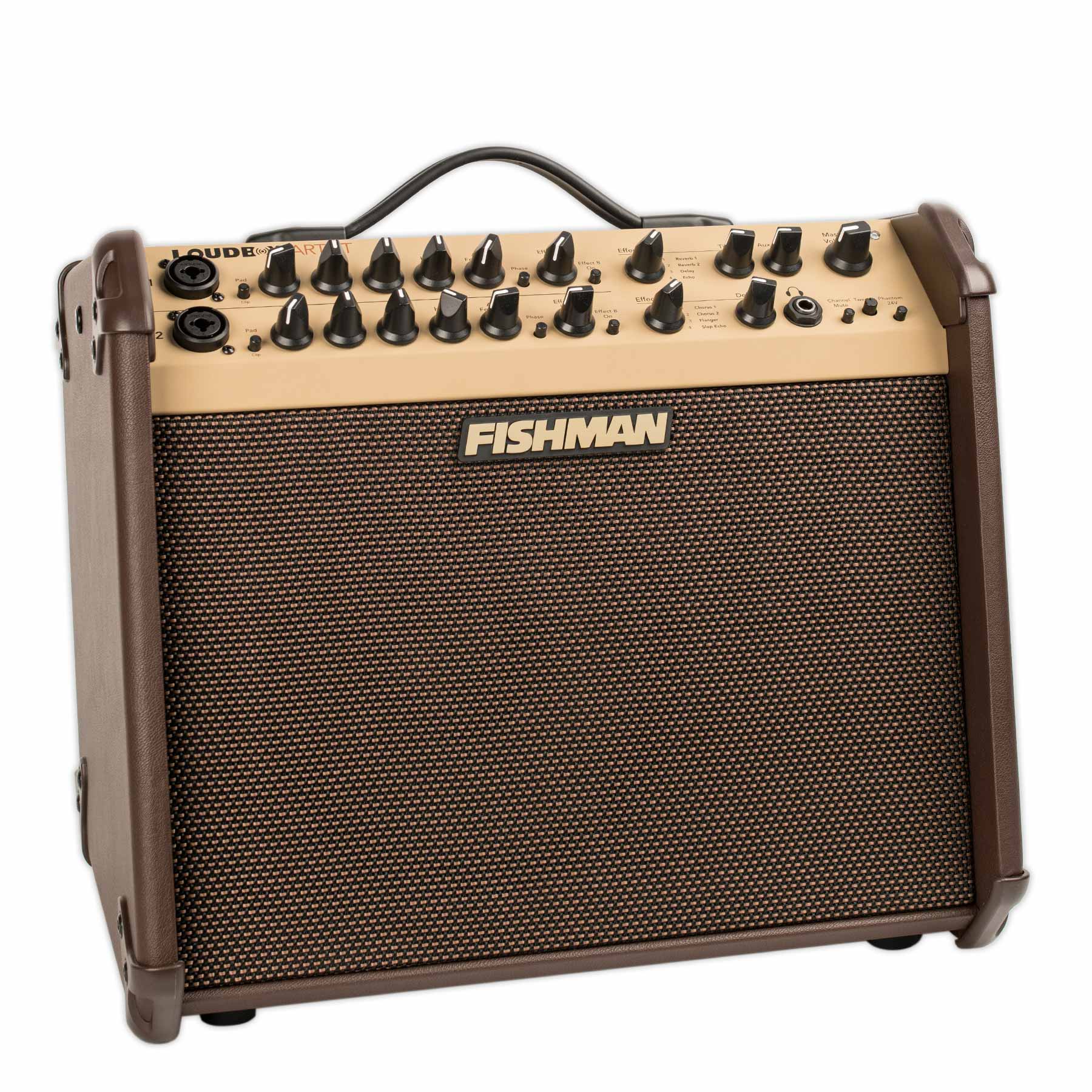 USED FISHMAN LOUDBOX ARTIST WITH COVER