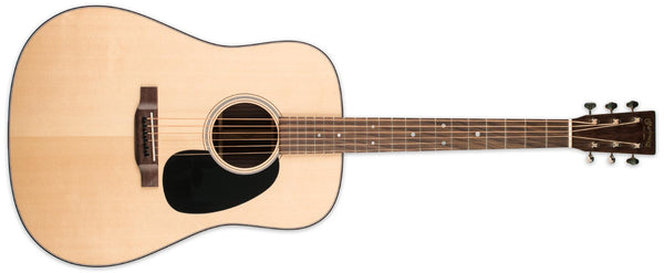 MARTIN D-21 SPECIAL LIMITED EDITION WITH CASE