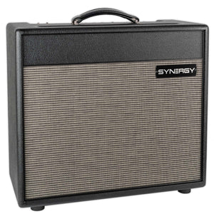SYNERGY THREE CHANNEL 30 WATT COMBO SLOT FOR ONE MODULE AND BUILT IN CLEAN CHANNEL